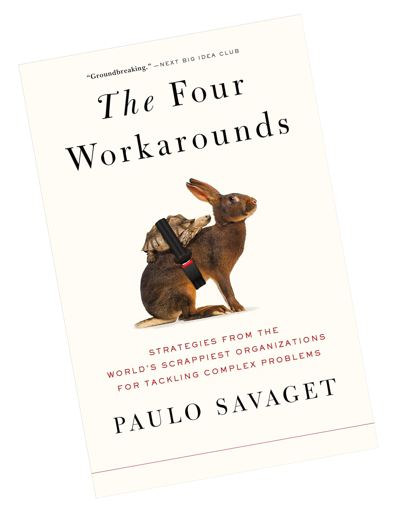 The Four Workarounds by Paulo Savaget