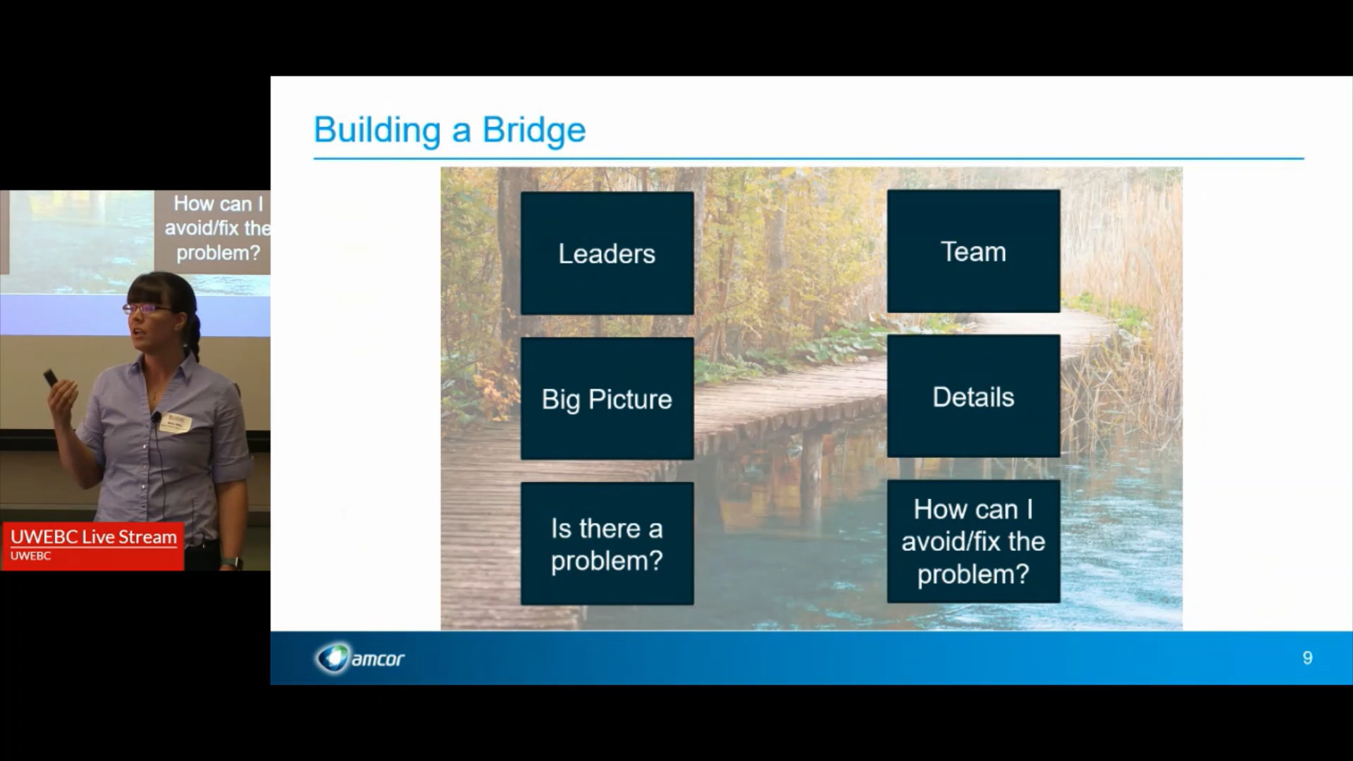 4. Amcor Presentation: AFNA Analytics Strategy thumbnail